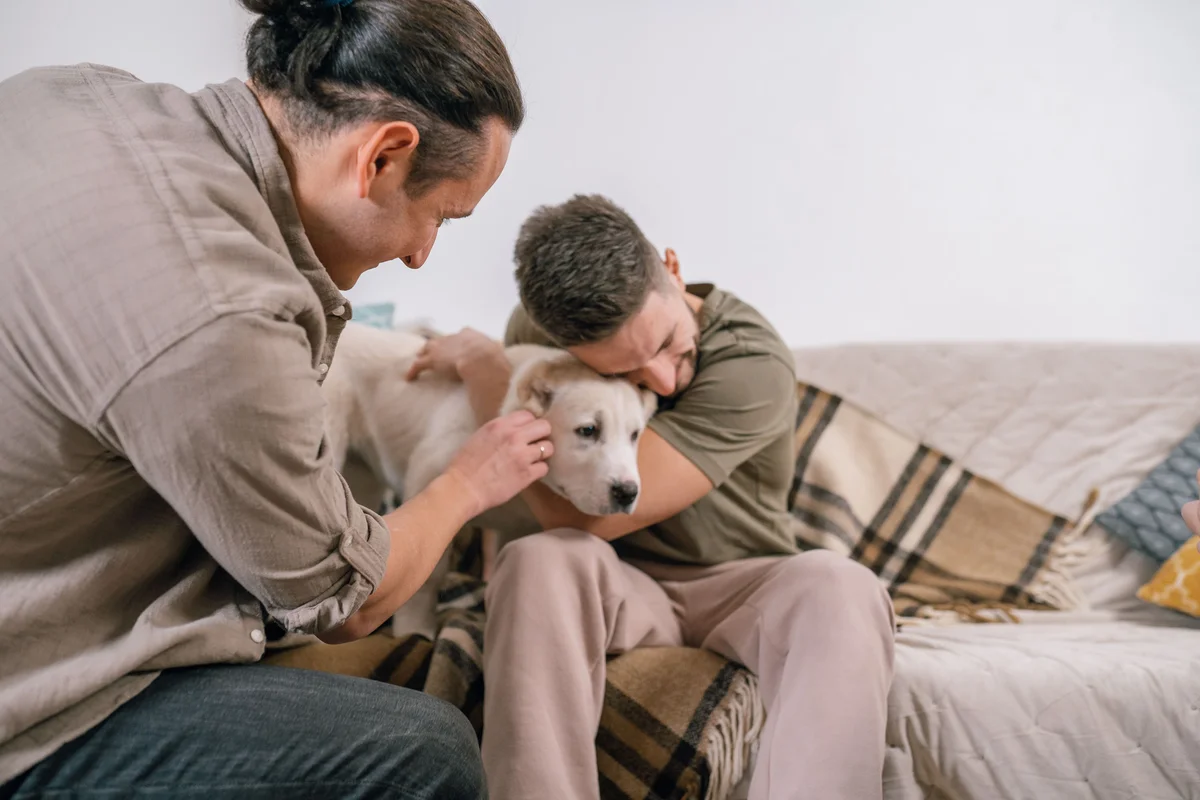Um cão a receber carinho junto da sua família
